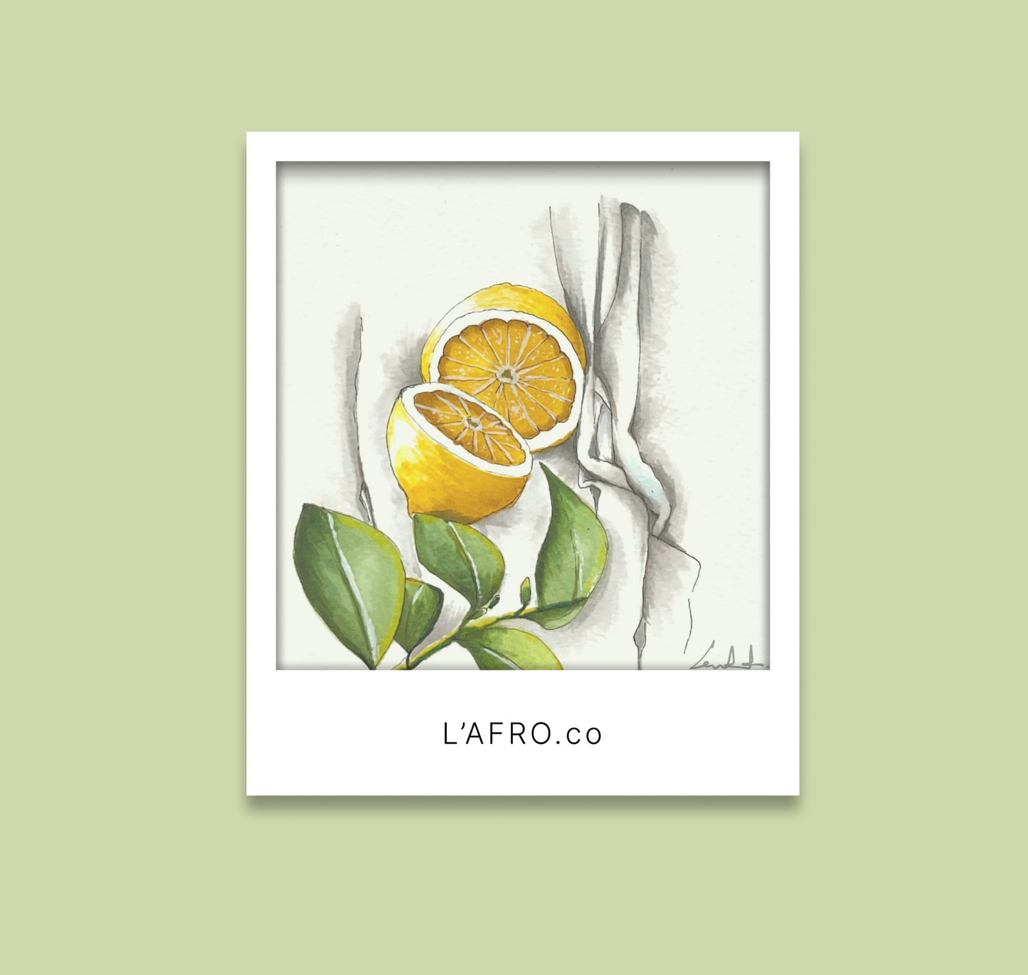 L’AFRO translucent Polaroid cards